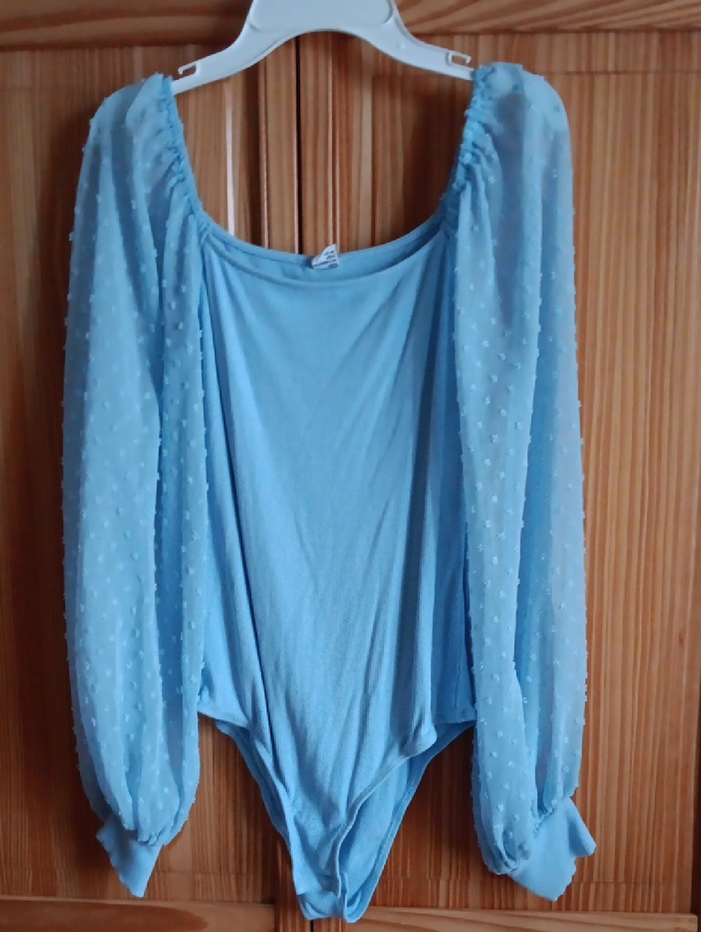 Light Blue Sheer Puff Sleeve Bodysuit with Textured Sleeves